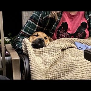 Meet your Posher, Stacy